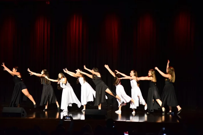 Liberation Dance Show by Zirka